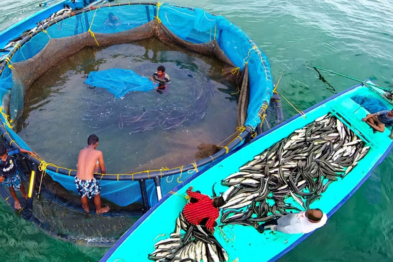 വിക്‌സിത് കൃഷി സങ്കൽപ് അഭിയാൻ: കൂടുകൃഷിയും കടൽപായൽ കൃഷി സാങ്കേതികവിദ്യകളും പ്രചരിപ്പിക്കാൻ സിഎംഎഫ്ആർഐ